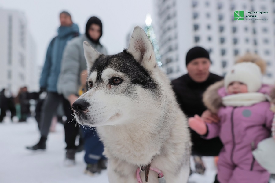 terri130126-6.jpg terri130126-6.jpg