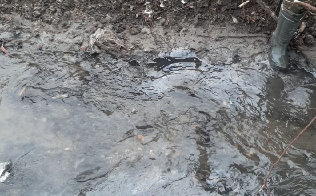 
		
		Известен источник загрязнения двух пензенских рек нефтепродуктами
		
	