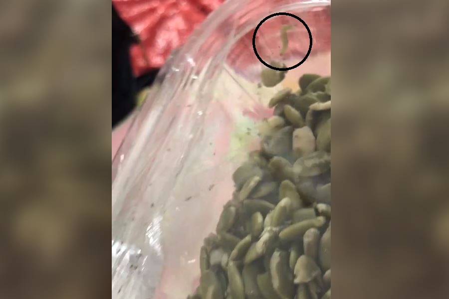 
		
		Жительница Пензы обнаружила червя в упаковке с семечками
		
	