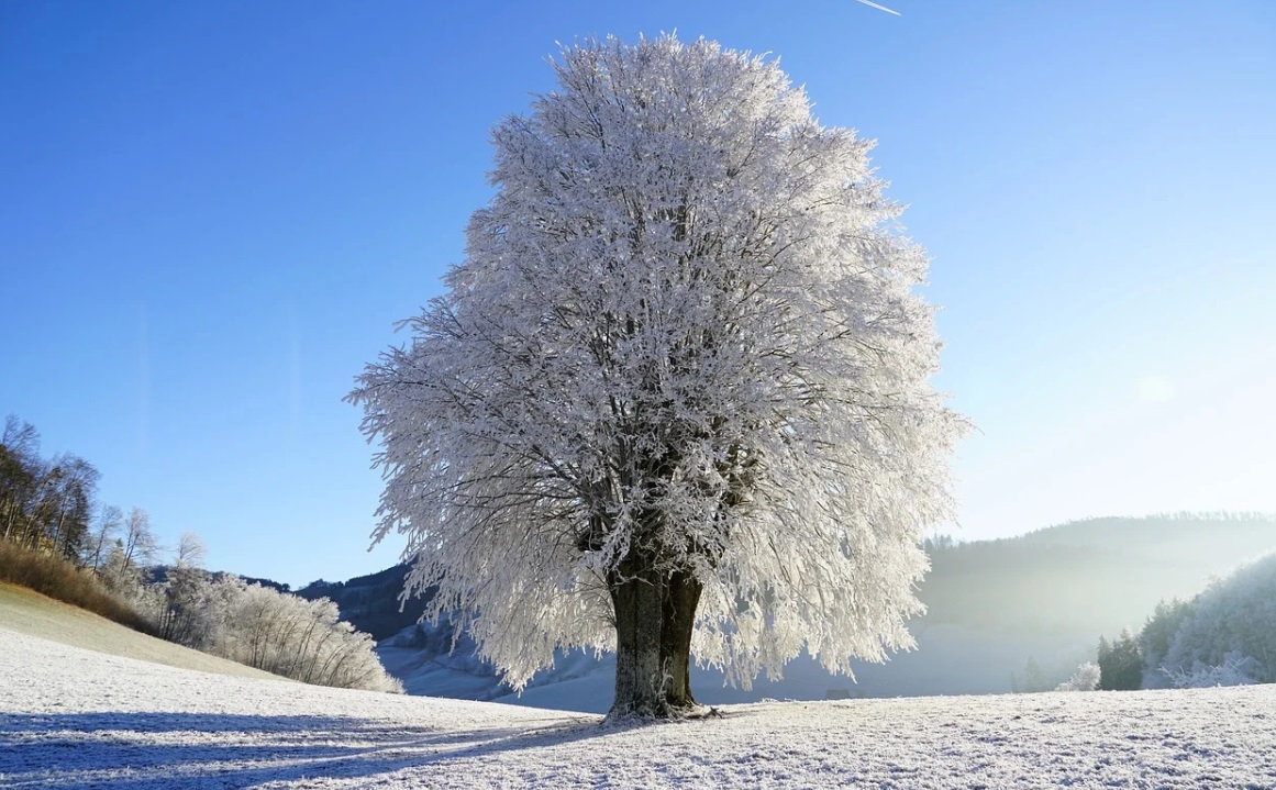 
		
		До -38 градусов: в Пензенской области объявлен оранжевый уровень погодной опасности из-за мороза
		
	