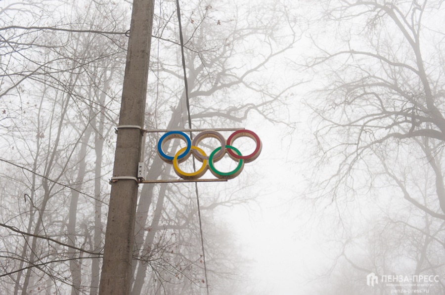
		
		В середине мая Олимпийскую аллею в Пензе обработают от клещей
		
	