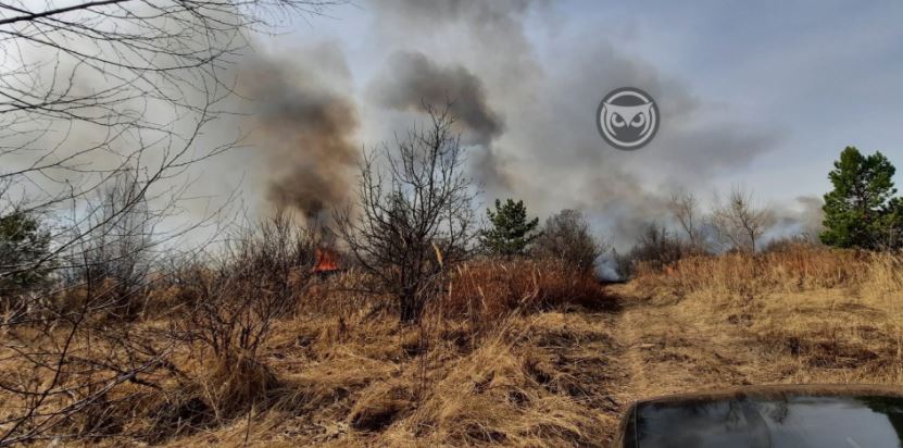 
		
		В МЧС рассказали подробности крупного пожара в Васильевке
		
	