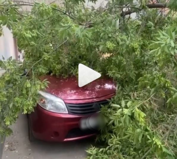 
		
		В Пензе на автомобили рухнули деревья. Видео
		
	