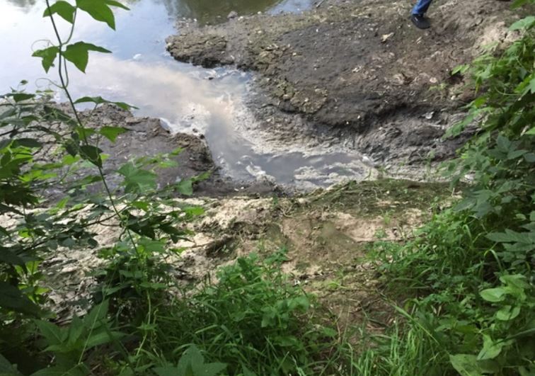 
		
		Пензенский минлесхоз ищет виновных в загрязнении реки Ломовка
		
	