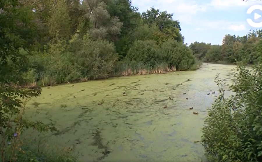
		
		Специалисты пензенского минлесхоза займутся расчисткой русел рек региона
		
	