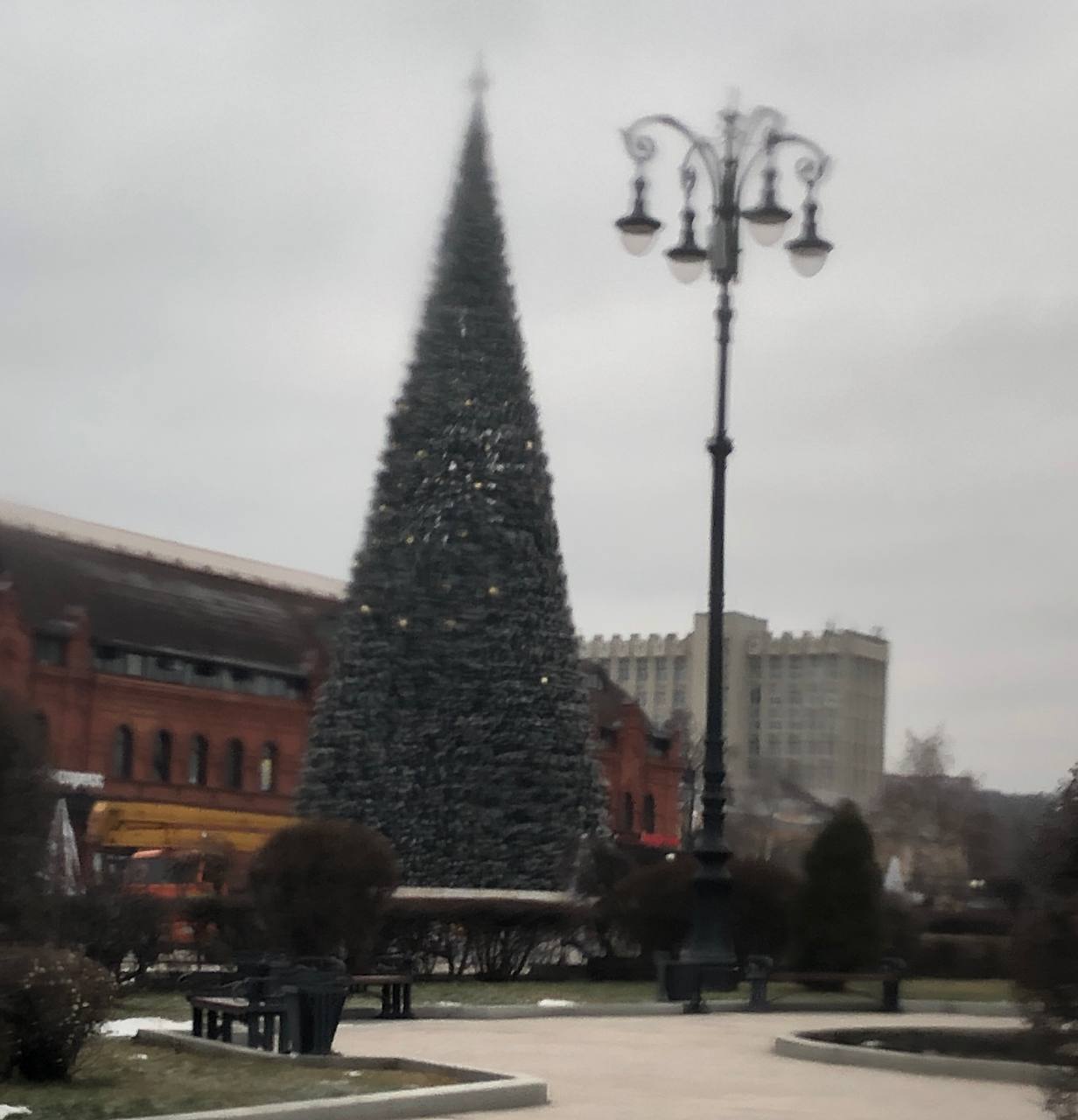 
		
		В Пензе приступили к украшению новогодней елки
		
	