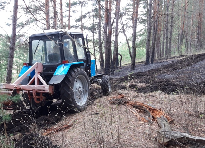 
		
		В двух районах Пензенской области потушили лесные пожары
		
	
