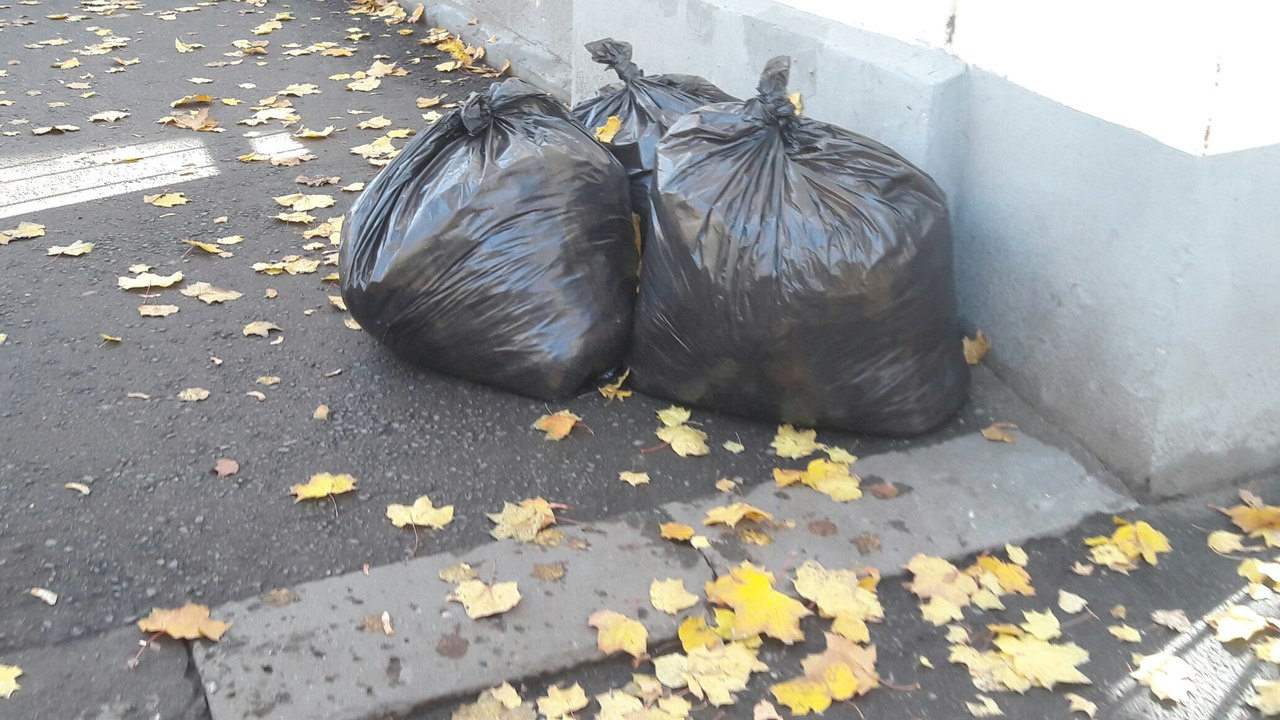 
		
		Пензенец просит избавить от мусора тротуары на ул. Тернопольской
		
	