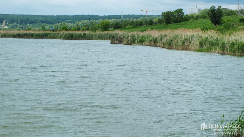 
		
		В Пензенской области будут искать новые источники водоснабжения
		
	
