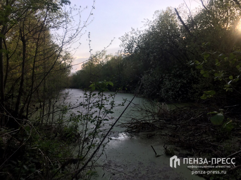 
		
		Никольский «Горводоканал» оштрафовали на 120 тысяч рублей за загрязнение реки Маис
		
	