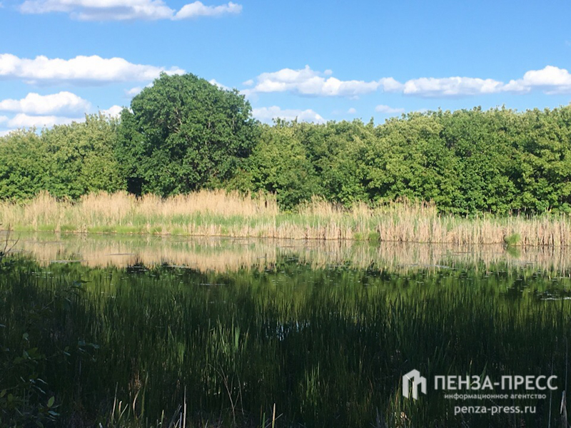 
		
		Пензенской области выделят 88 млн руб на реализацию нацпроекта «Экология»
		
	