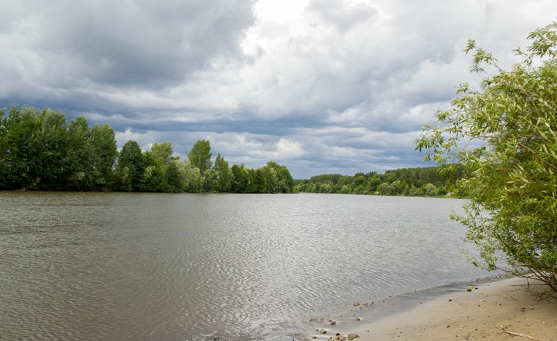 
		
		В реке Волге обнаружили повышение уровня опасных веществ
		
	