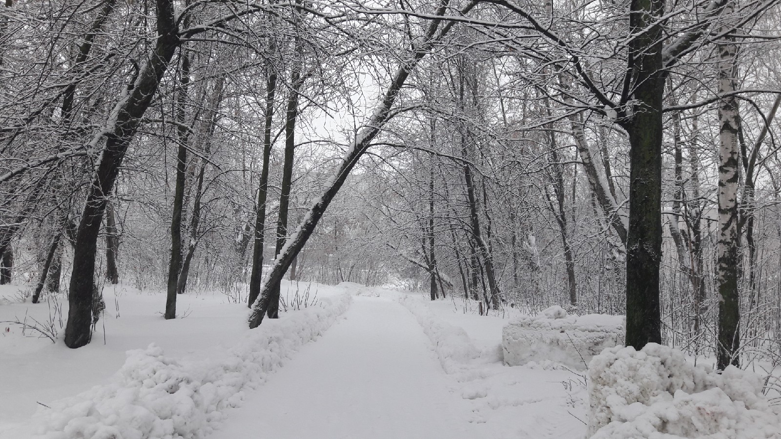 
		
		Пензенцев предупредили о сильном снегопаде 2 января
		
	