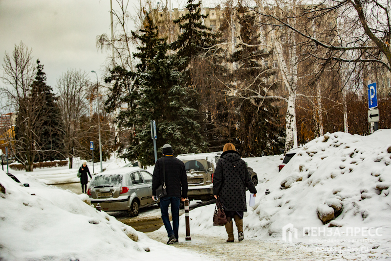 
		
		В Пензенской области 28 февраля ожидают снег и гололедицу
		
	