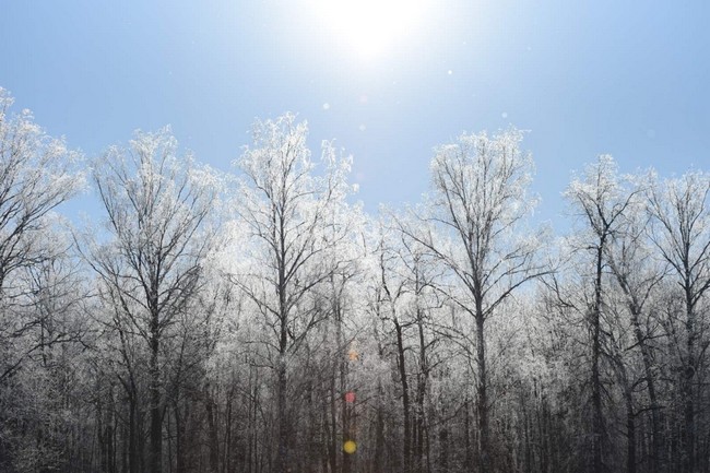 
		
		В Пензенской области ожидается мороз до -21 градуса
		
	