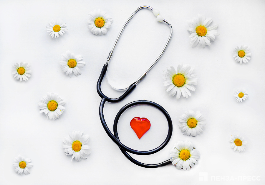 
		
		Какие продукты помогут укрепить сердечно-сосудистую систему: полезные советы от пензенского врача
		
	