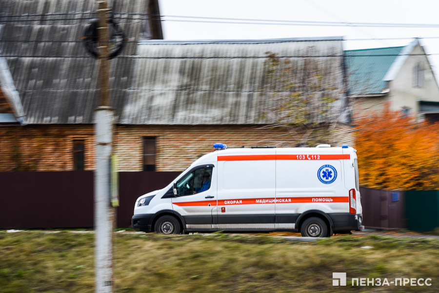 
		
		Коронавирус: за сутки число госпитализаций в Пензенской области снизилось в 2,5 раза
		
	