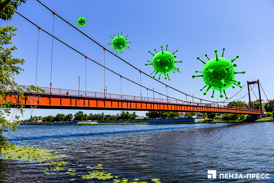 
		
		В Пензенской области выявили еще 234 зараженных коронавирусом  Источник: penza-press.ru
		
	
