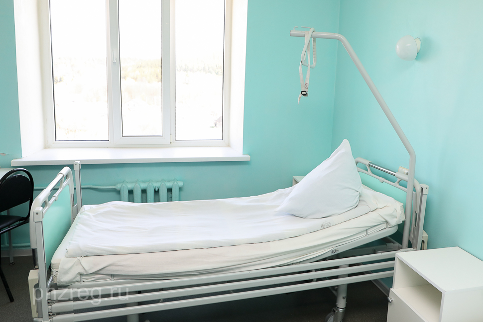 
		
		В Пензенской области за год от пневмонии скончались 293 человека
		
	