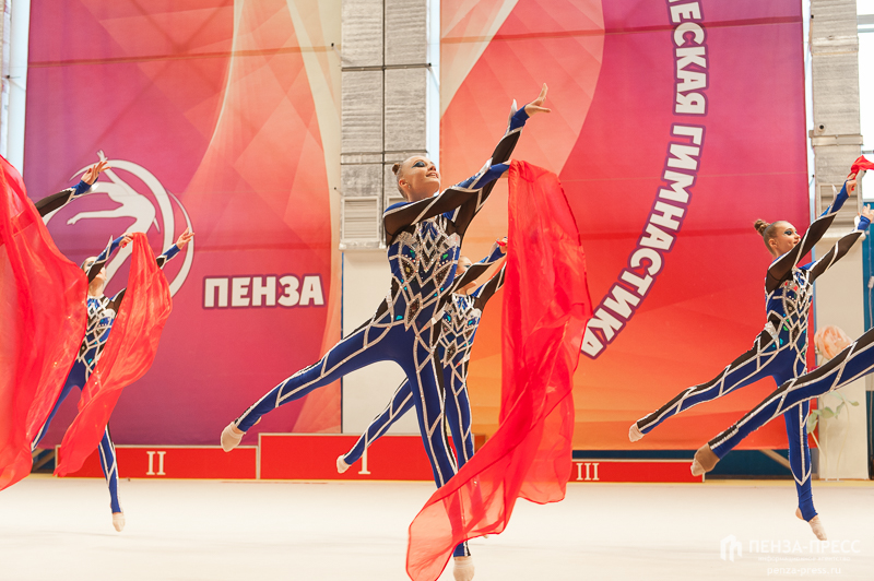 
		
		В состав сборной команды России по художественной гимнастике вошли две пензячки
		
	