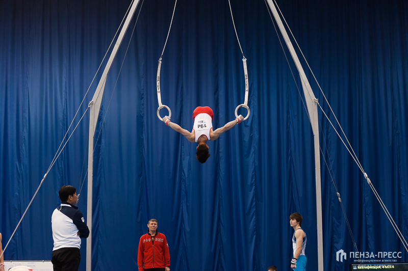 
		
		В Пензе пройдут всероссийские соревнования по спортивной гимнастике
		
	