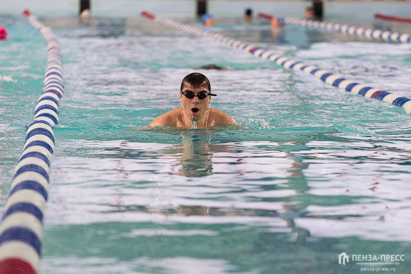 
		
		В Пензе могут появиться новые водные виды спорта
		
	
