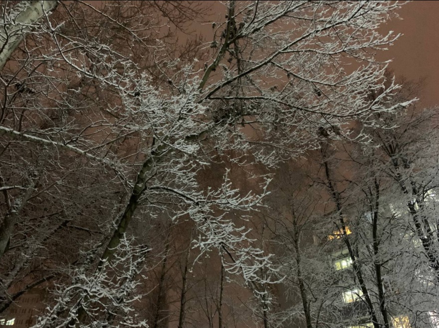 Пензенцы делятся фото снегопада