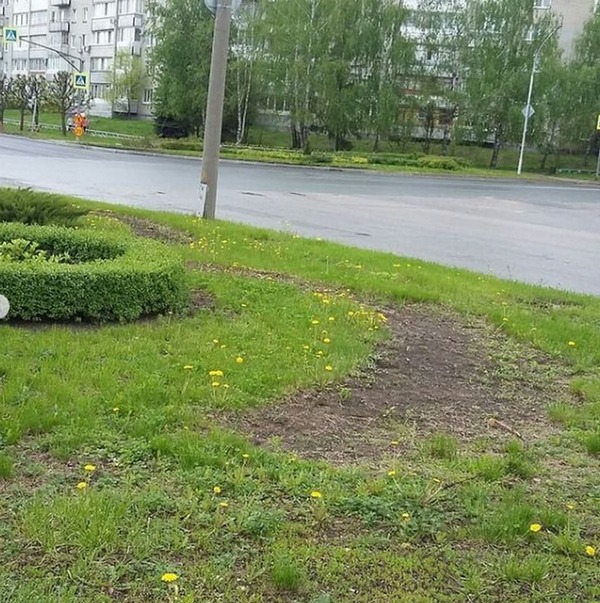 Где Купить Цветы В Заречном Пензенской Области