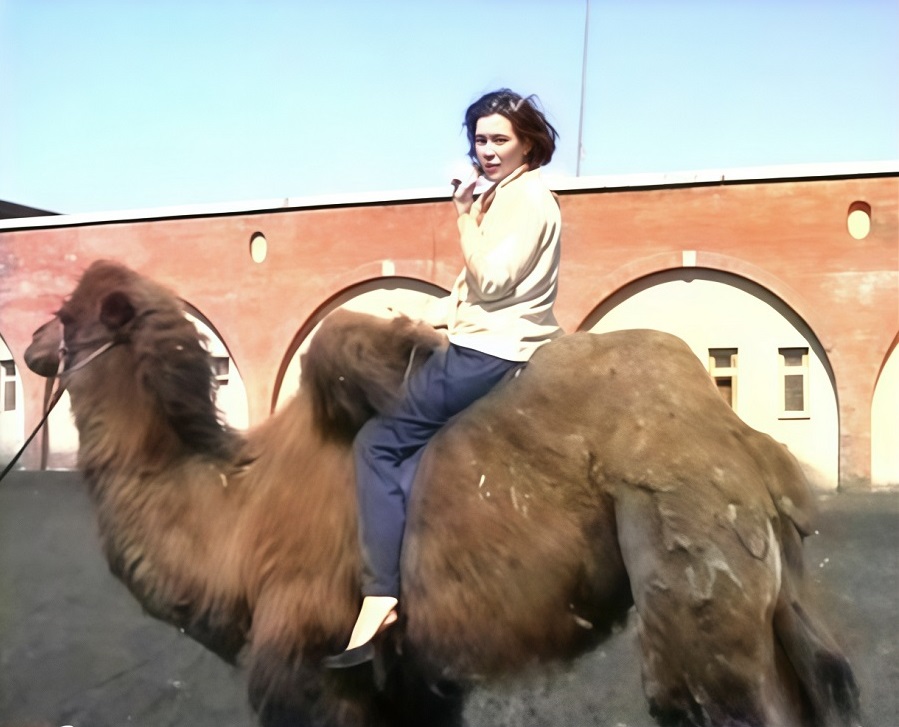 11kan31.jpg 11kan31.jpg