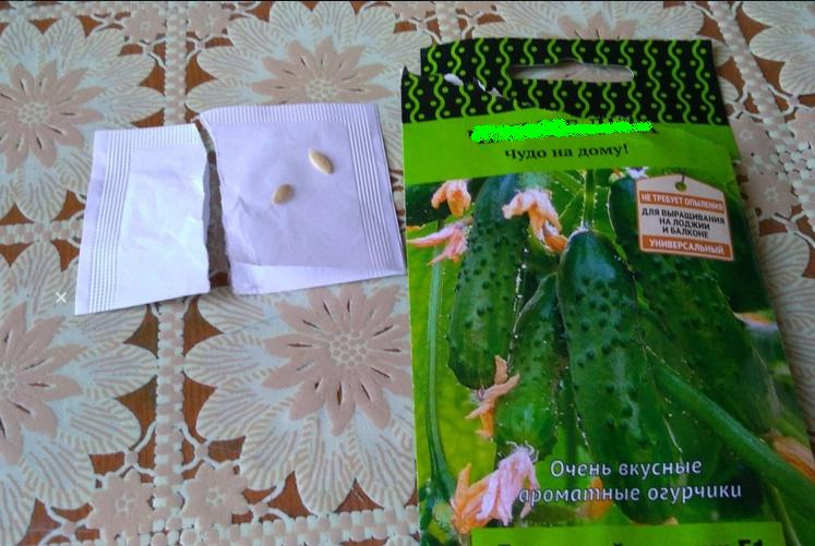 Семена купить в пензе друзья марихуаны текст песни
