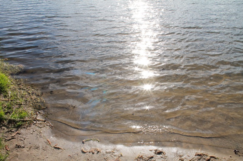 Сурское водохранилище пляж