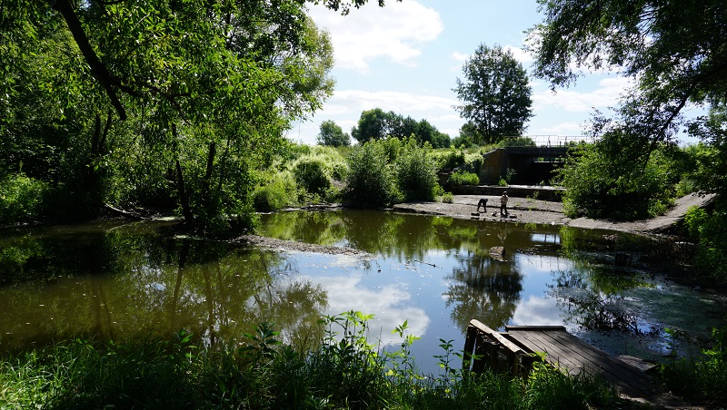 искусственный водоем схема. искусственный пруд с биоплато. озеро на участке. ложе пруда. ложа водоема.