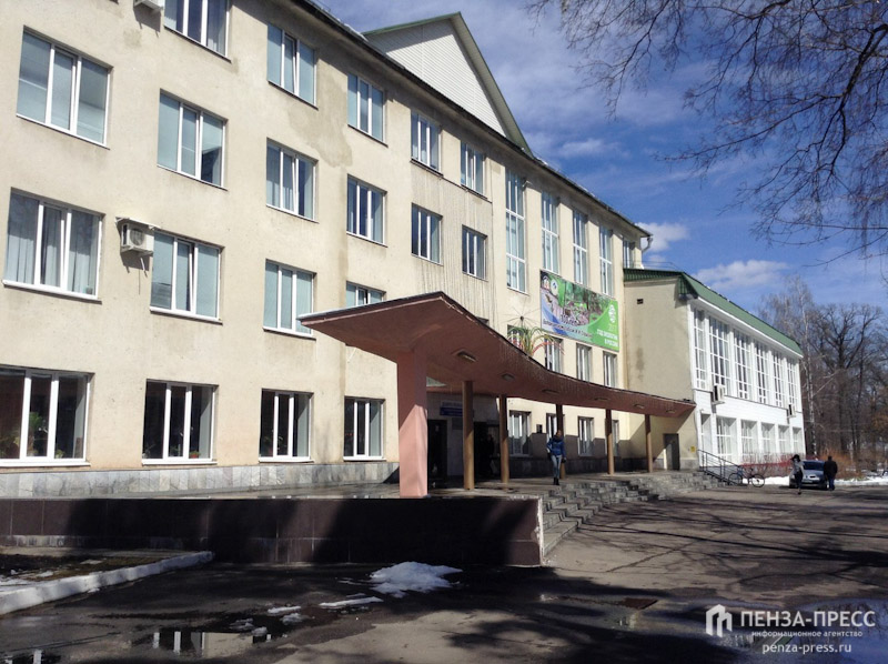 Пгу педагогический институт им. Институт имени белинского пенза. Педагогический институт им. Пензенский государственный университет в г белинского. Пенза пгпу белинского.